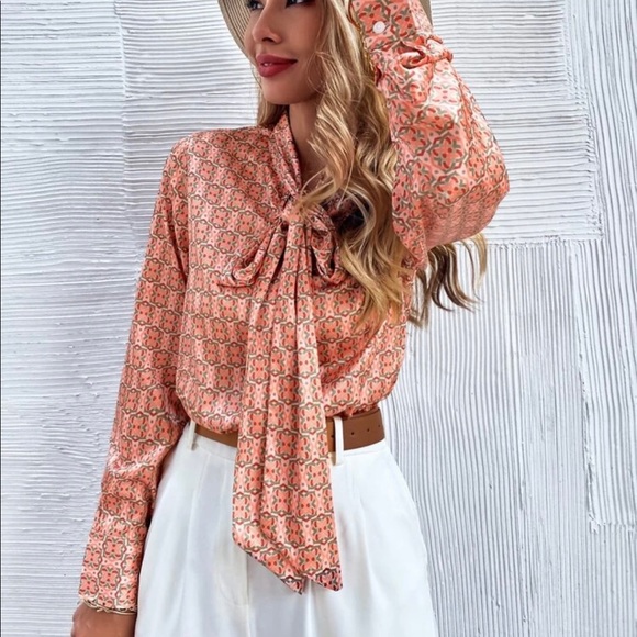 Office Style Neck Tie Blouse - Picture 3 of 7